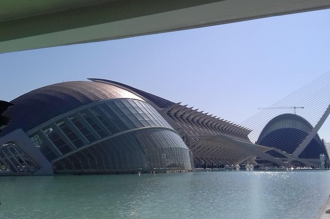 The City of Arts and Sciences in Valencia - What You Get for the Money