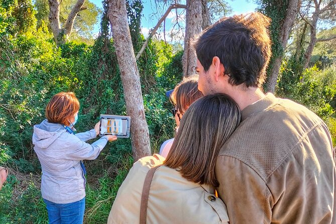 The Original Albufera Tour: Barraca, Boat Ride & Local Guide - Key points to know before booking