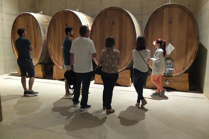 Two wineries tour with wine tasting - Second stop: a family winery and a different point of view