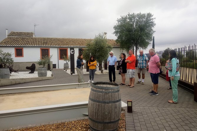 Two wineries tour with wine tasting - What the tastings are really like