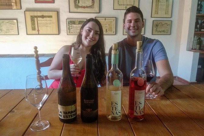 Two wineries tour with wine tasting - Elise’s role makes the difference