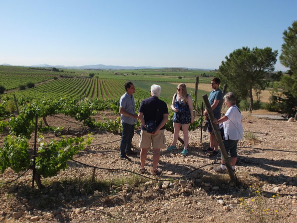 Two wineries tour with wine tasting - Who should book this Utiel-Requena tour?