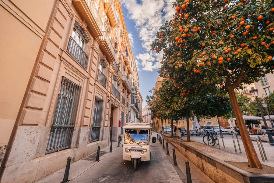 Valencia 1 hour by TukTuki: Essential and Private Tour - Comfort, Seating, and Weather