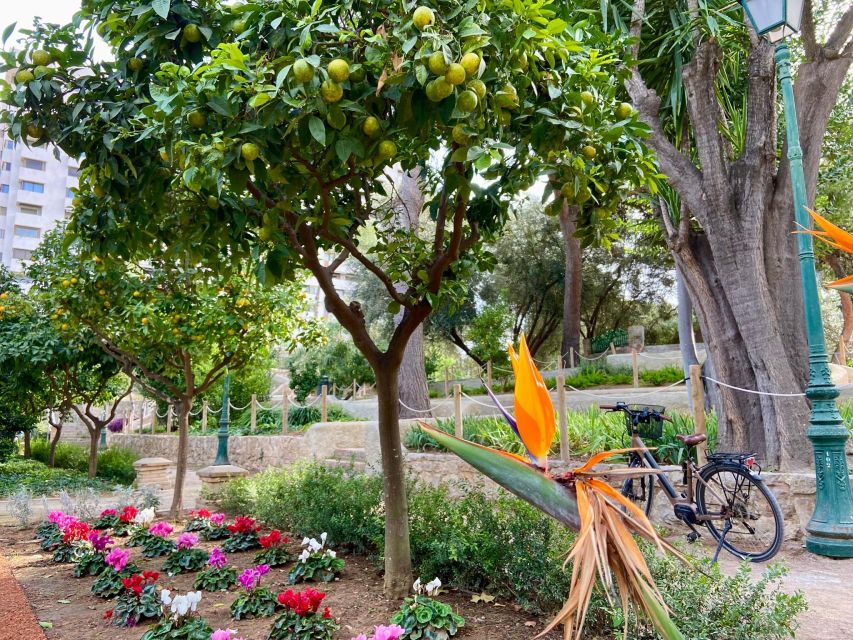 Valencia: 2-in-1 Biking and Walking Audio-Guided Route - Benimaclet and the beaches make this a full city ride