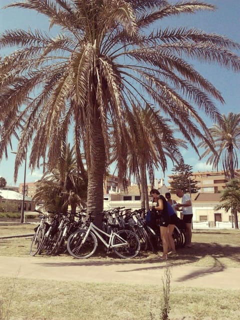 Valencia: 3-Hour City Bike Tour - Who will get the most from this bike tour