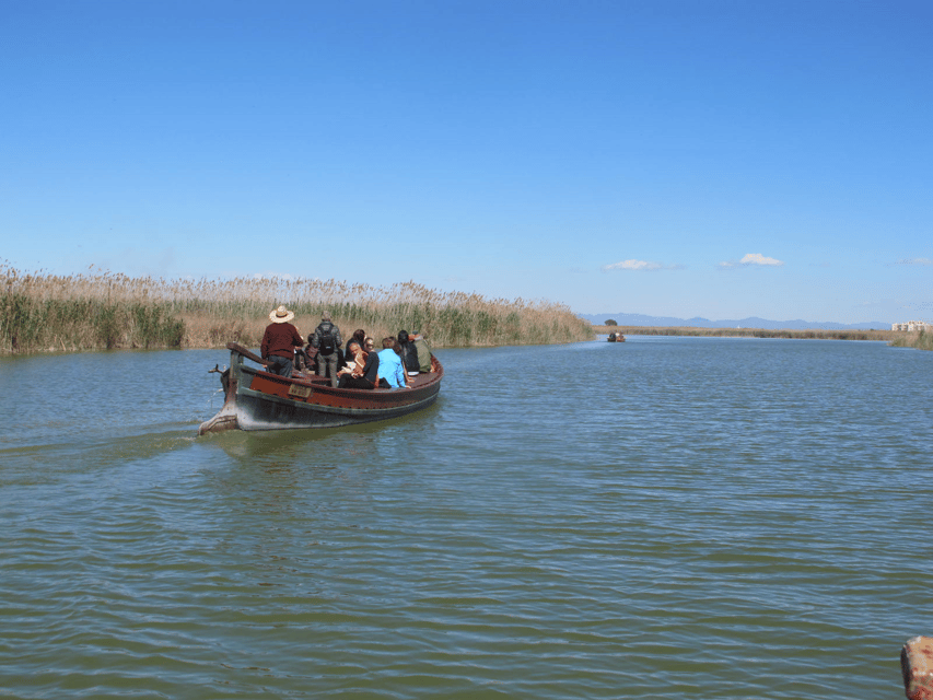 Valencia: 48-Hour Hop-On-Hop-Off Bus & Albufera Bus Tour - Who will enjoy this experience most