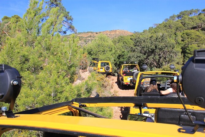 Valencia: ADVENTURE 4X4 JEEP Tour - More than a lookout: local nature and historic places