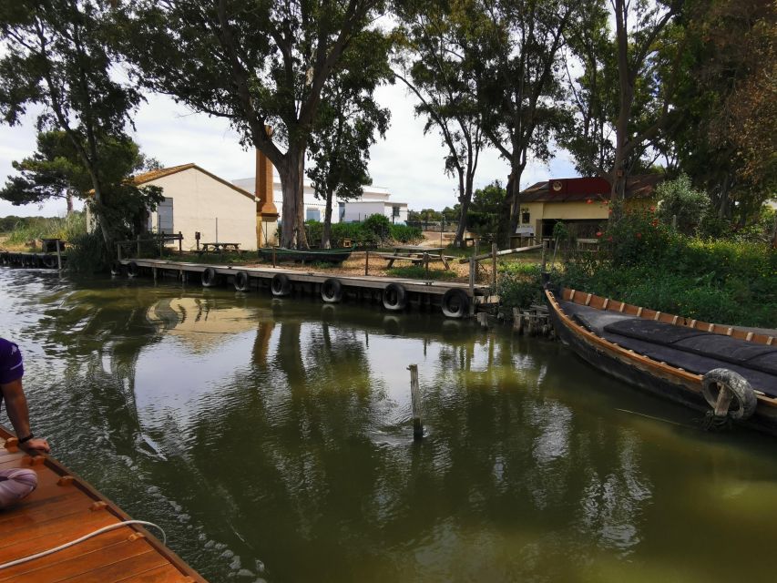 Valencia: Albufera Natural Park Bike and Boat Tour - The Electric Albuferenc Through Rice Country
