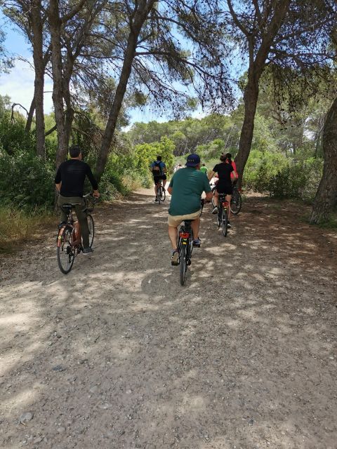 Valencia: Albufera Natural Park Bike and Boat Tour - Reaching the Mediterranean Beach