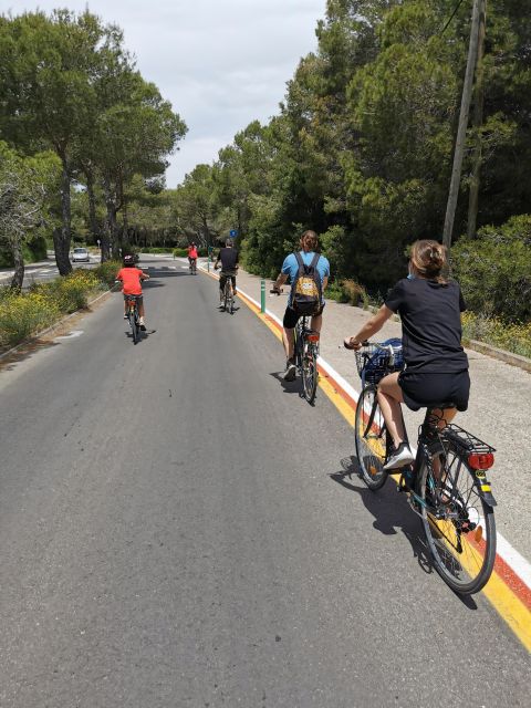 Valencia: Albufera Natural Park Bike and Boat Tour - Booking Decision: Is $43 a Fair Price?