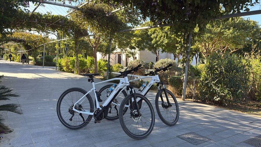 Valencia all in one: beaches, old town & city arts by E-bike - Why an e-bike is the right way to see Valencia