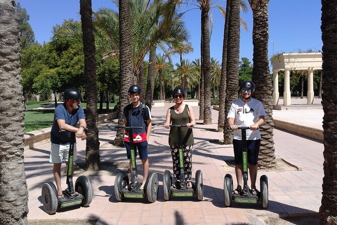 Valencia Arts and Nature Segway Tour 2hs - One hour through Turia Gardens