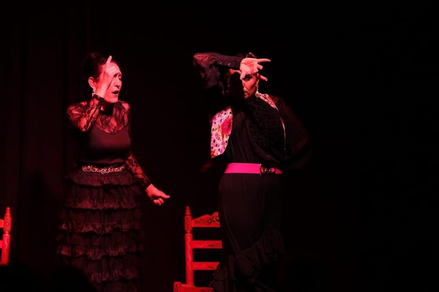 Valencia: Authentic Flamenco Show Entry Ticket - Key points at a glance