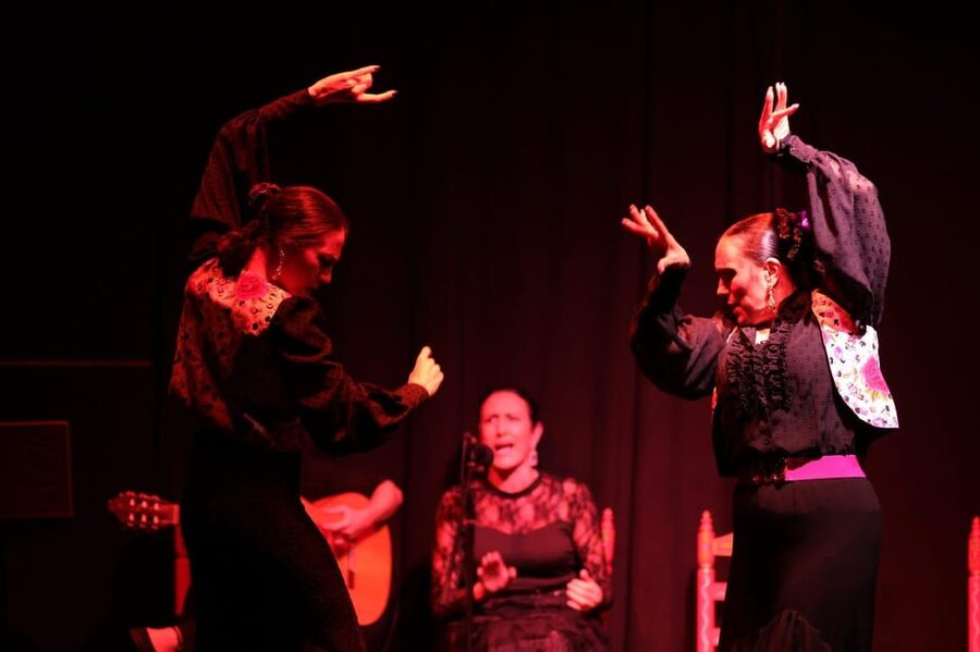 Valencia: Authentic Flamenco Show Entry Ticket - How to get the best seat and experience