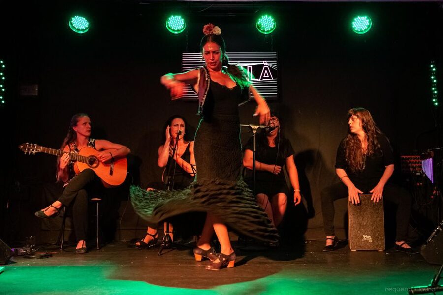 Valencia: Authentic Flamenco Show Entry Ticket - A one-hour performance built on live sound