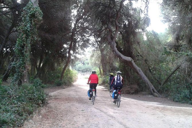 Valencia Bike or Segway Tour - Why Turia Garden is the right starting point