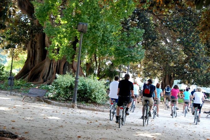 Valencia Bike or Segway Tour - What the guide adds to the ride