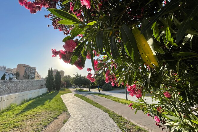 Valencia Bike Tour: Top Sights and City of Arts & Sciences - Casa de las Rocas and the old city gates