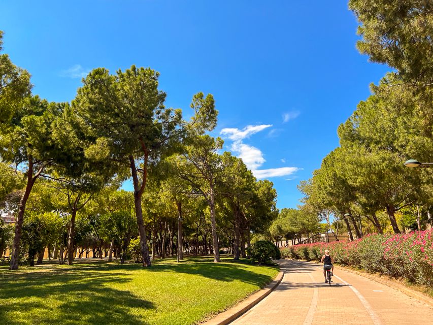 Valencia Bike Tours: City Highlights - The Old Town, Lonja de la Seda, and Central Market