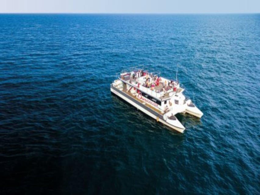 Valencia: Boat Trip on the Valencian coast with lunch - Key points to know before you book