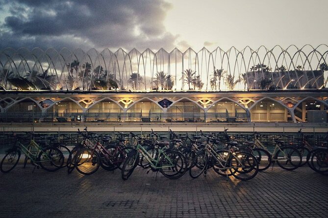 Valencia By Night Bike Tour - Plaza de la Virgen sets the evening tone