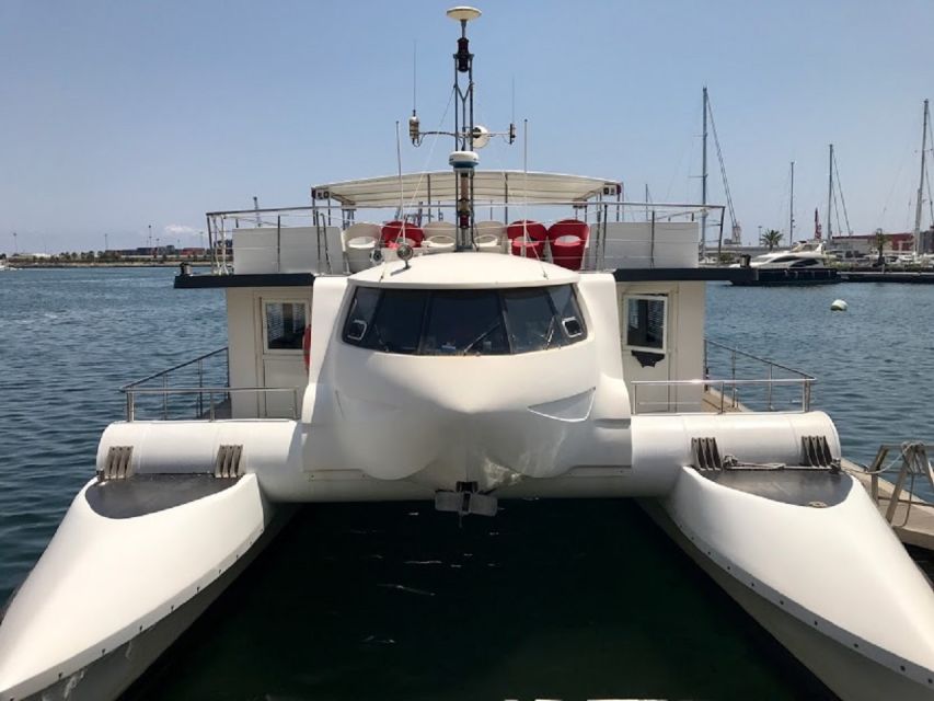Valencia: Catamaran Cruise, Paella Lunch and Swim Stop - Key points to know before booking