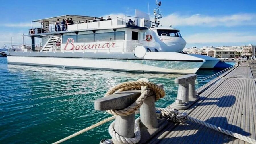 Valencia: Catamaran Cruise with Stop for Swimming - The Port Saplaya Swimming Stop