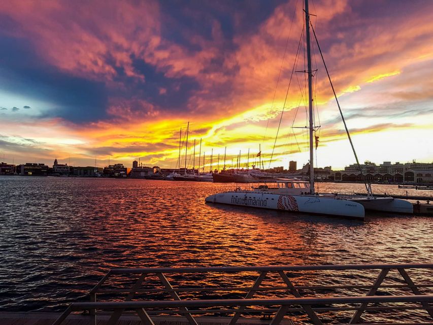 Valencia: Catamaran Cruise with Sunset Option - What you see along Valencia’s coast