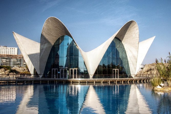 Valencia City Excursion - From Albir, Benidorm & Calpe - Pickup points and small details that matter