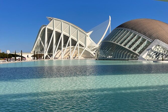 Valencia: City of Arts and Sciences Private Walking Tour - Walking around the Oceanogràfic