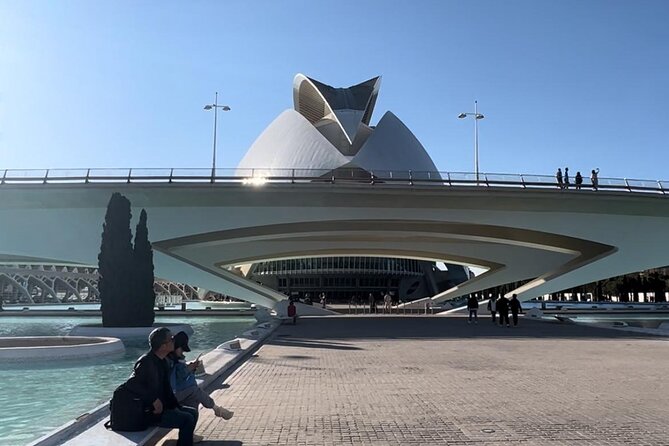 Valencia: City of Arts and Sciences Private Walking Tour - Starting at the Hemisfèric