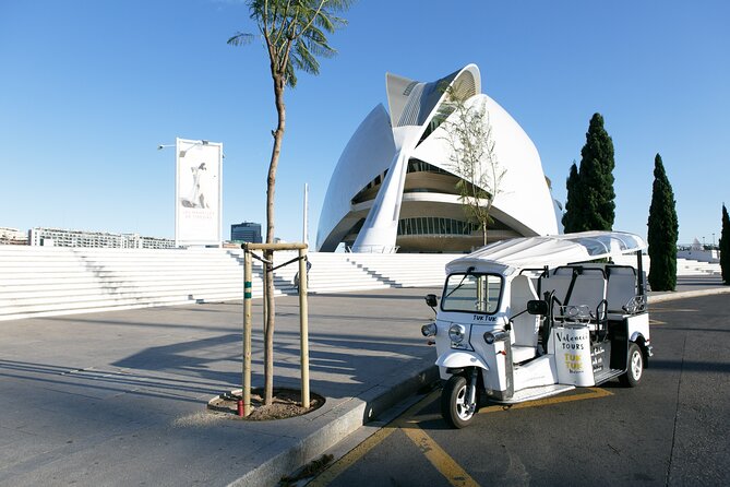 Valencia Complete Tour by Tuk Tuk - Modernist markets, Rococo, and the bullring
