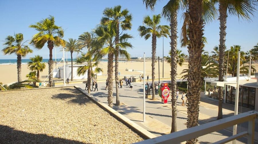 Valencia: Fantastic Segway Tour from the Center to the Beach - The former Turia riverbed and its long green route