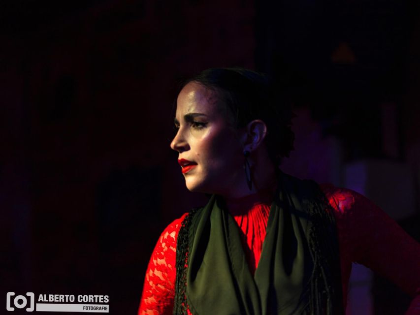 Valencia: Flamenco at Toro y La Luna with optional Dinner - Food, service, and the value of the dinner option