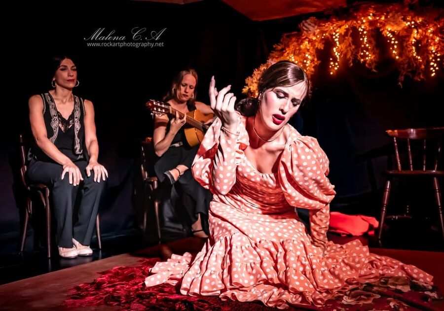 Valencia: Flamenco Show at Tablao La Reina - What the Tablao La Reina experience feels like