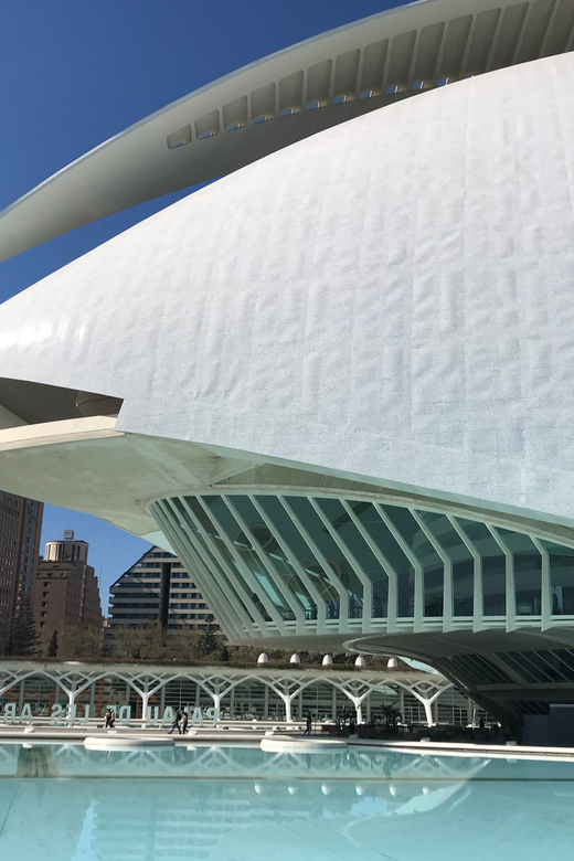 Valencia: Grand City Bike Tour on Bicycle, E-Bike or E-Step - Why this route works so well in Valencia