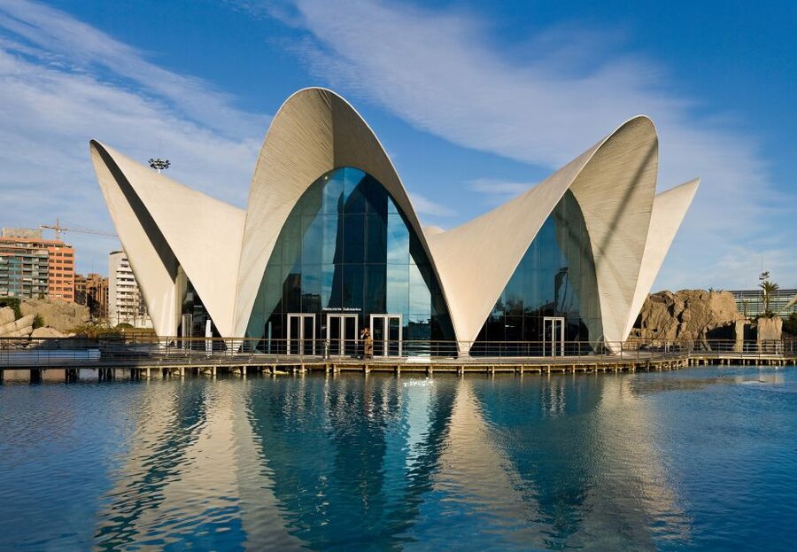 Valencia: Guided City Walking Tour with Tapas Tastings - What the private format really adds
