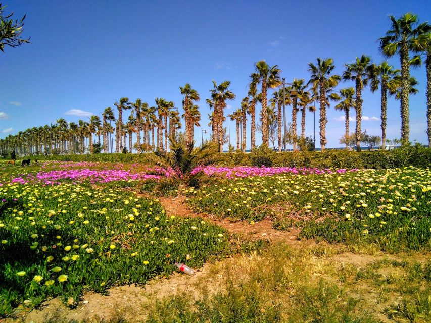 Valencia: Horchata Bike Tour - Following the Mediterranean coast