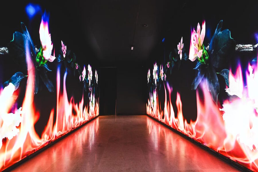 Valencia: Hortensia Herrero Art Center Ticket or Guided Tour - The Roman circus beneath the modern galleries