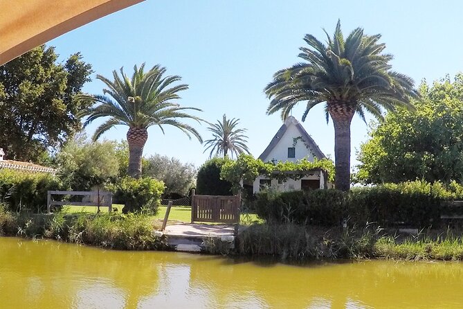 Valencia: Jeep Tour Albufera Park - The nature center explains what you are seeing