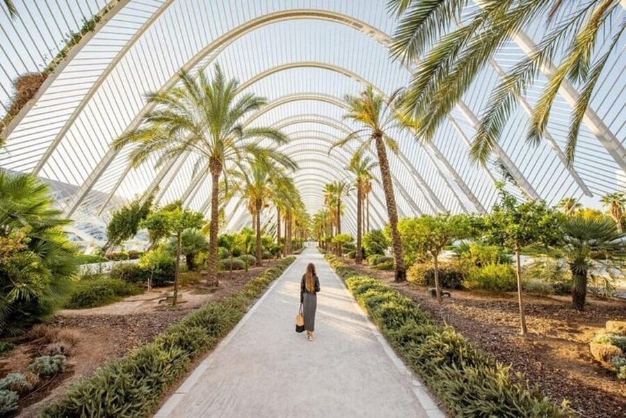 Valencia: Must-See Attractions Walking Tour - Key points to know before booking
