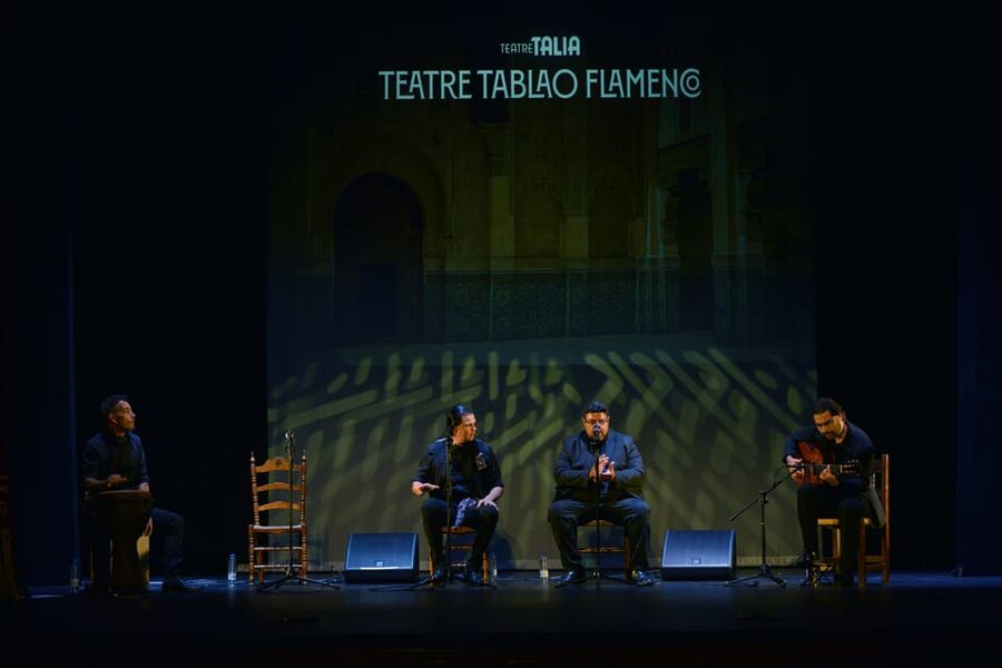 Valencia: New Flamenco Show in the Most Emblematic Theater of the City - A closer look at the performers