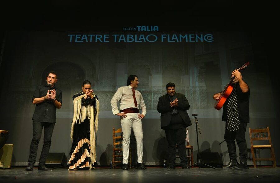 Valencia: New Flamenco Show in the Most Emblematic Theater of the City - How the experience feels for different kinds of visitors
