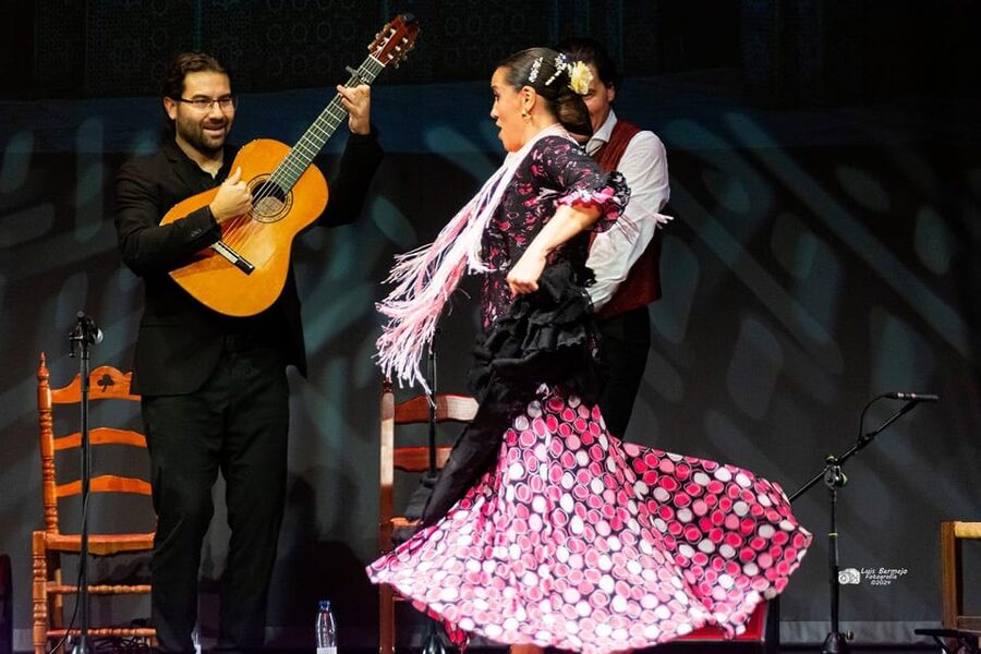 Valencia: New Flamenco Show in the Most Emblematic Theater of the City - Practical details that affect your choice