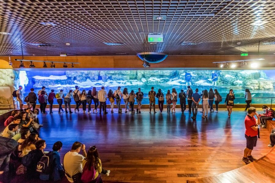 Valencia: Oceanogràfic Entry Ticket - Outdoor birds and the freshwater lake