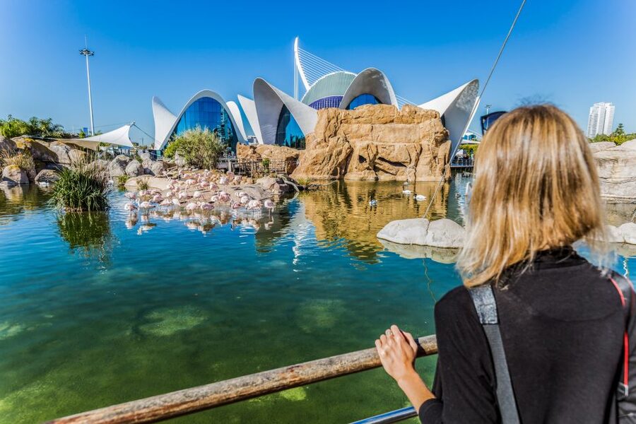 Valencia: Oceanogràfic Entry Ticket - How long you should plan to stay