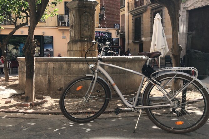 Valencia Old Town Private Tour by Bike or Electric Ride - Central Market and a useful food stop