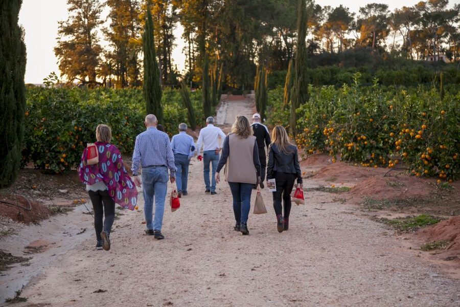 Valencia: Orange Farm and Orchard Trip with Tastings - Traditional farming beside modern methods