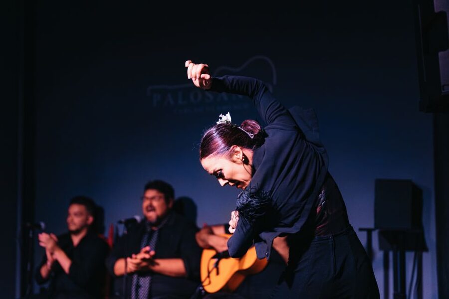 Valencia: Palosanto Flamenco Show Ticket - A close-up flamenco night in Cabanyal