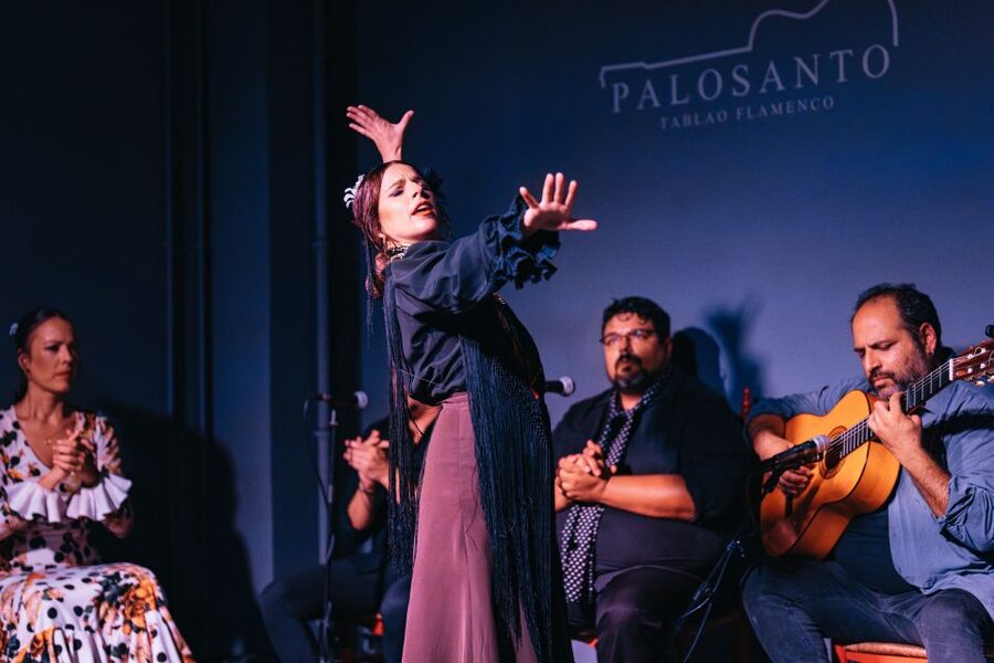 Valencia: Palosanto Flamenco Show Ticket - A small theater with real tradeoffs
